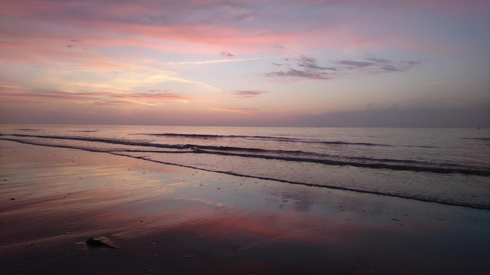 Haus Seeigel Strandflieder นอร์เดอร์ไน ภายนอก รูปภาพ